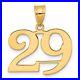 14k Yellow Gold Polished Number 29 Pendant