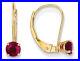 Ruby 3/4 Carat (ctw) Leverback Earrings in 14K Yellow Gold
